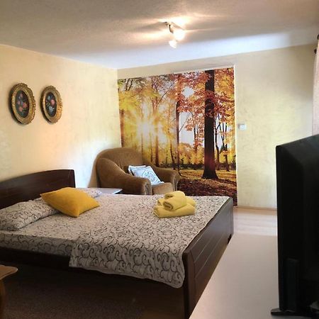 Kuca Za Odmor Davidovic Apartamento Despotovac Exterior foto