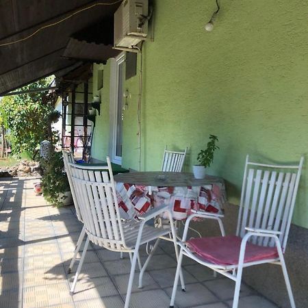 Kuca Za Odmor Davidovic Apartamento Despotovac Exterior foto