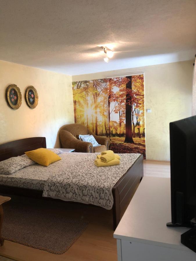 Kuca Za Odmor Davidovic Apartamento Despotovac Exterior foto