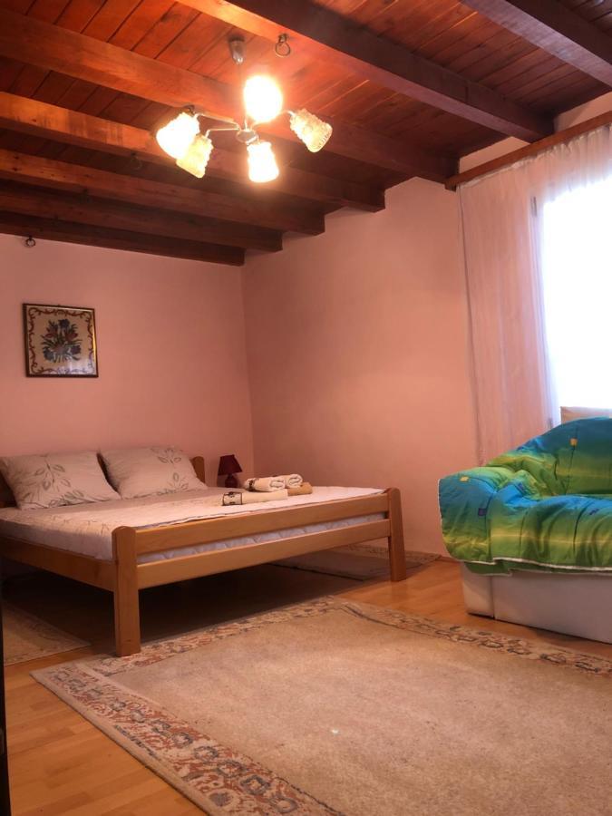 Kuca Za Odmor Davidovic Apartamento Despotovac Exterior foto