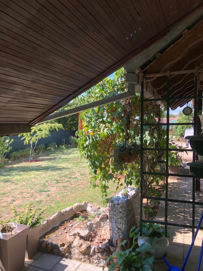 Kuca Za Odmor Davidovic Apartamento Despotovac Exterior foto