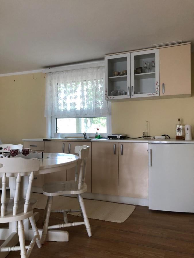 Kuca Za Odmor Davidovic Apartamento Despotovac Exterior foto