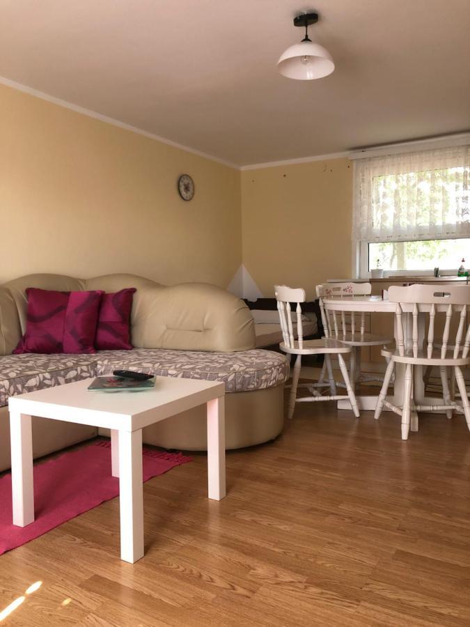 Kuca Za Odmor Davidovic Apartamento Despotovac Exterior foto