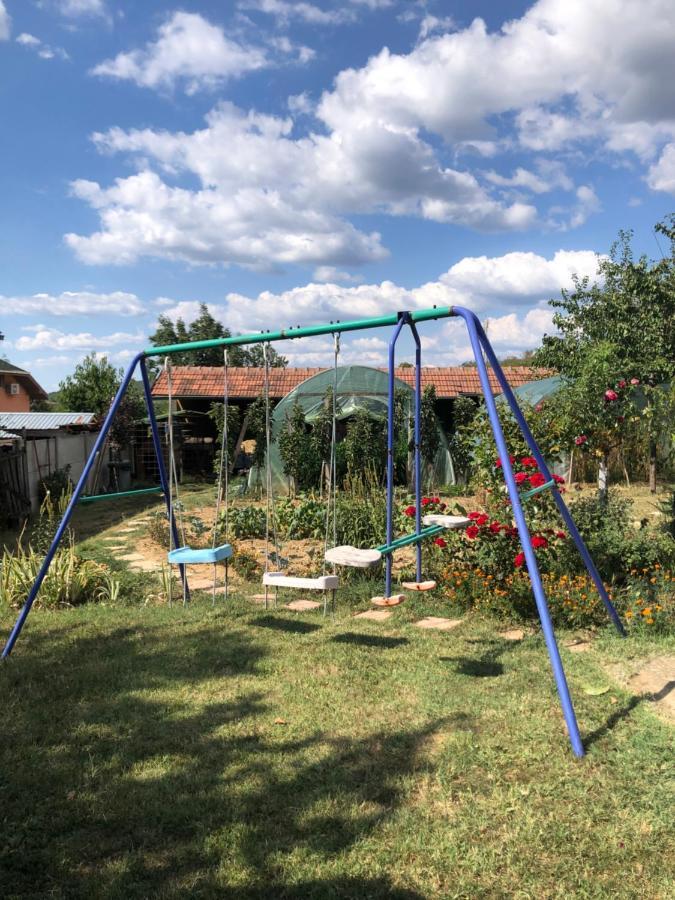 Kuca Za Odmor Davidovic Apartamento Despotovac Exterior foto
