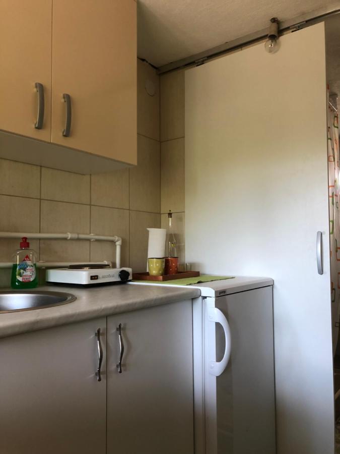 Kuca Za Odmor Davidovic Apartamento Despotovac Exterior foto