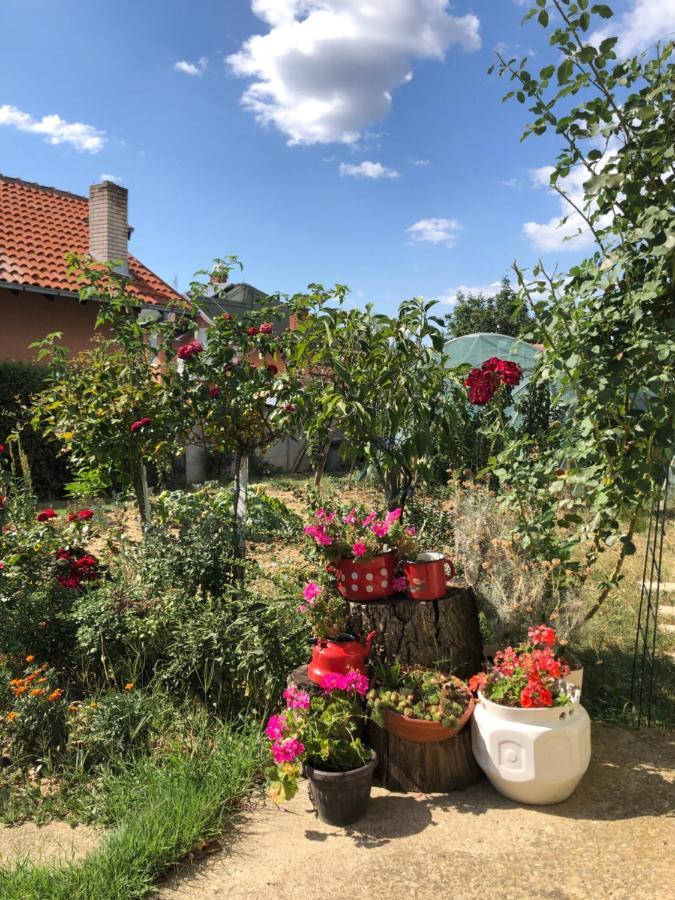 Kuca Za Odmor Davidovic Apartamento Despotovac Exterior foto