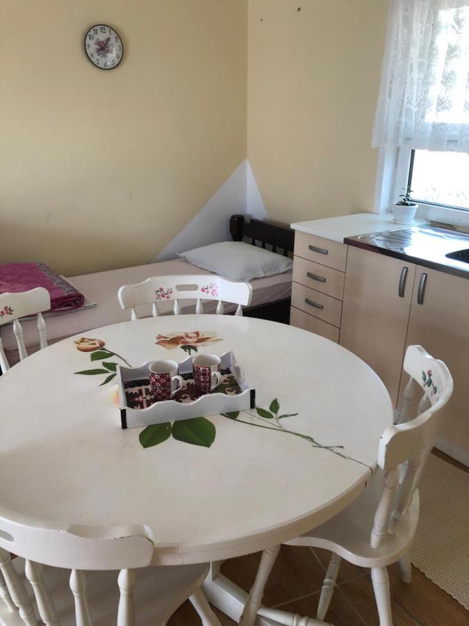 Kuca Za Odmor Davidovic Apartamento Despotovac Exterior foto