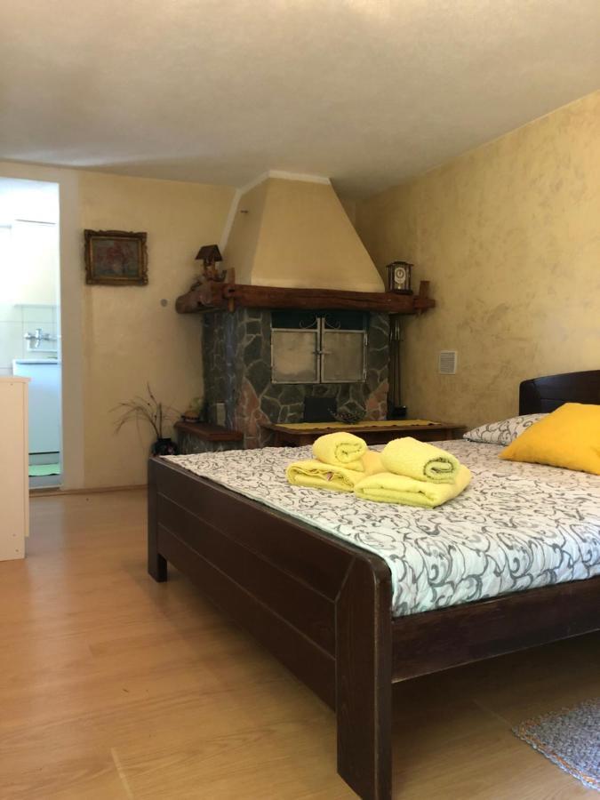 Kuca Za Odmor Davidovic Apartamento Despotovac Exterior foto